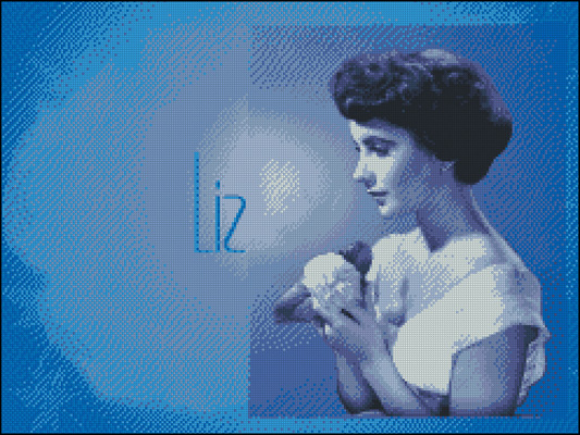 Esquema de Elizabeth Taylor en Punto de Cruz (2)