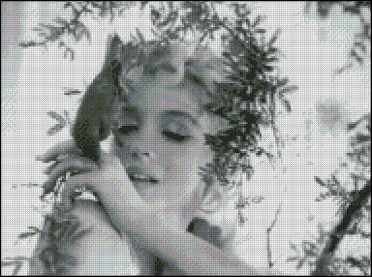 Esquema de Marilyn Monroe en Punto de Cruz (7)